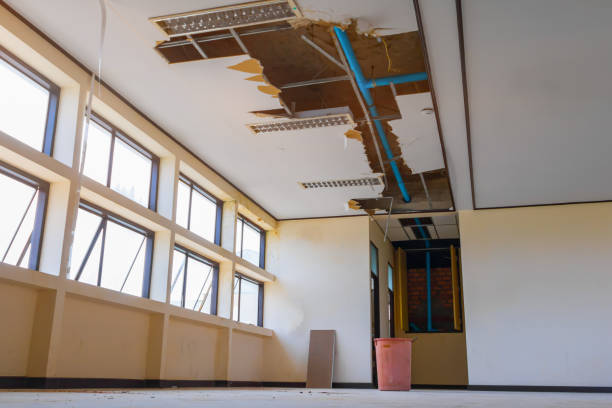 Carpet water damage restoration in Keego Harbor, MI