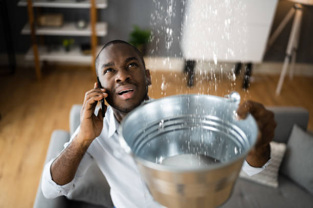 Best Water damage restoration experts  in Keego Harbor, MI
