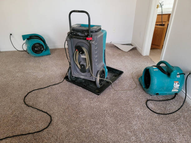 Best Water damage restoration cost  in Keego Harbor, MI