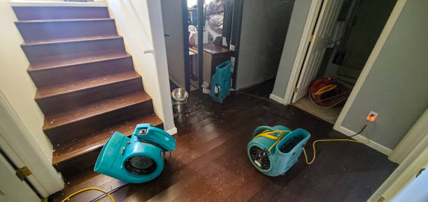 Best 24/7 water damage repair  in Keego Harbor, MI