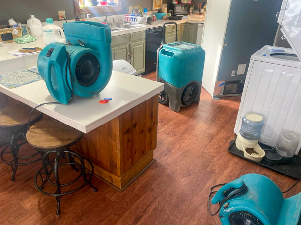 Best Water damage restoration company  in Keego Harbor, MI