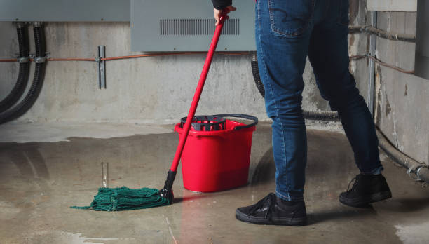 Reliable Keego Harbor, MI Water damage restoration Solutions