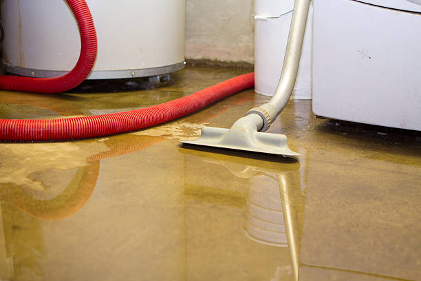 Best Water damage cleanup near me  in Keego Harbor, MI