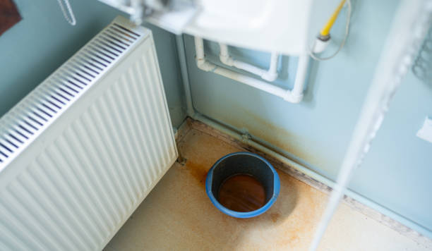 Best Flood damage cleanup  in Keego Harbor, MI