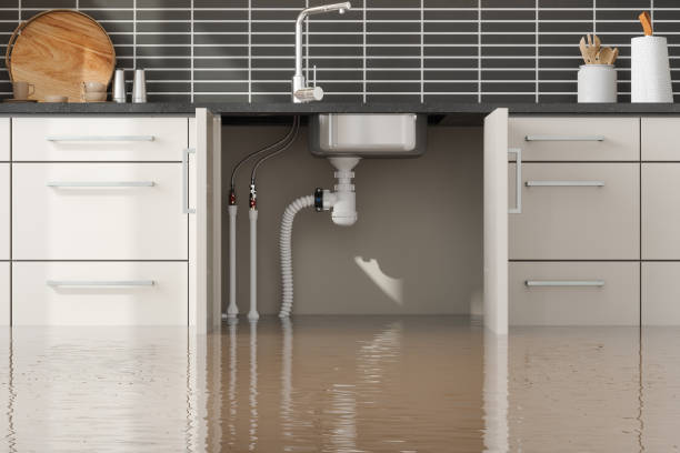 Best Emergency water extraction  in Keego Harbor, MI