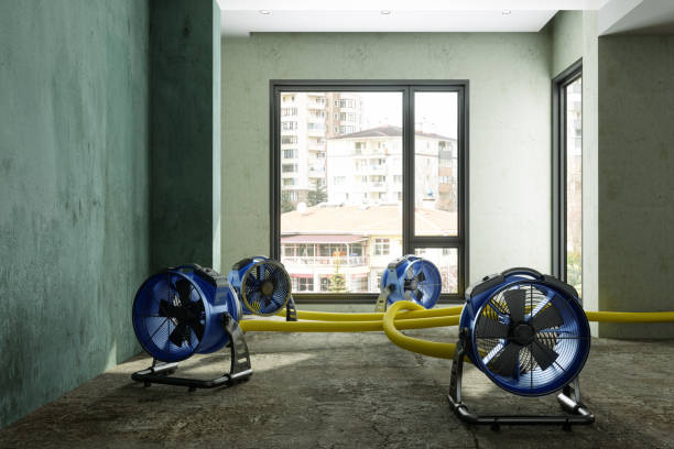 Best Commercial water damage restoration  in Keego Harbor, MI