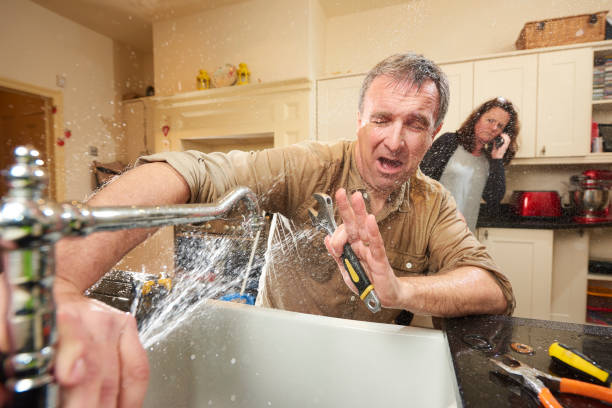 Best Water damage contractors near me  in Keego Harbor, MI